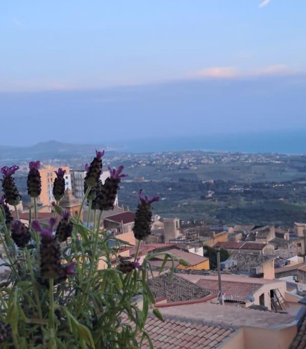 Casuzza Al Duomo Con Vista Valle Dei Templi! Agrigento Luaran gambar